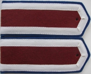 Shoulder straps of a cadet of the Internal Troops School of the NKVD of the USSR, model 1943